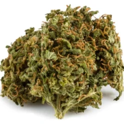 New Arrivals Aurora Ghost Train Haze