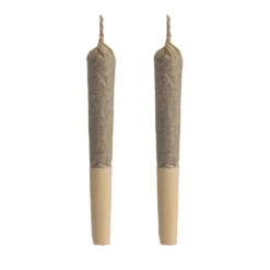 Aurora Aces PR 2 X 0.5 G