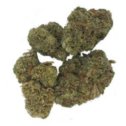 Sitka Micro Collection New Arrivals B. Island Banner