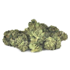 Strain Rec Sour Kosher New Arrivals 6 Strain Rec Sour Kosher New Arrivals