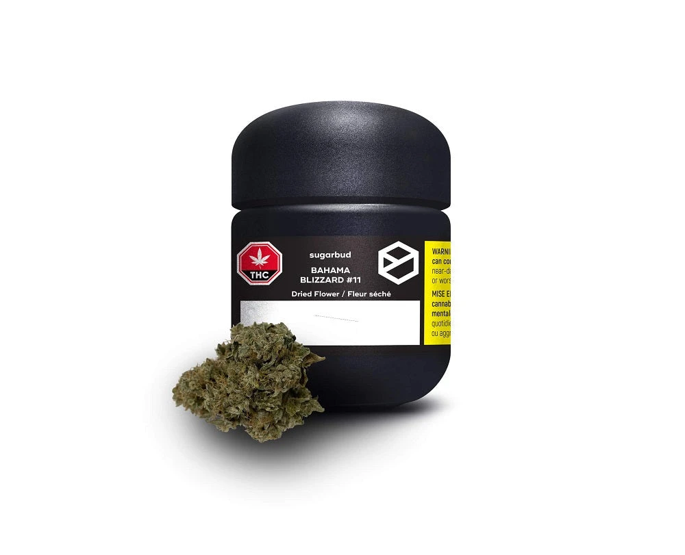 Sugarbud New Arrivals Bahama Blizzard 11 3 Sugarbud New Arrivals Bahama Blizzard 11