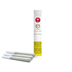 Sugarbud Bahama Blizzard #11 PR 3 X 0.5 G