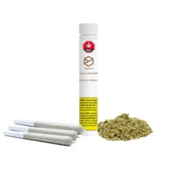 Sugarbud Bahama Blizzard #11 PR 3 X 0.5 G