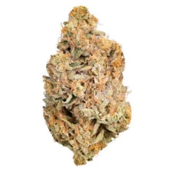 Qwest Banana OG New Arrivals
