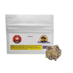 Palm Gardens Banana Punch New Arrivals