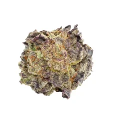 Palm Gardens Banana Punch New Arrivals