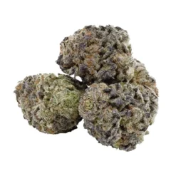 Haven St Banana Purple Punch New Arrivals