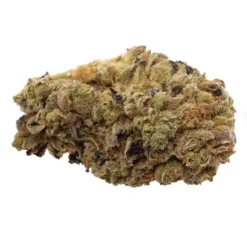 Wink New Arrivals Craft Blue Sherbet