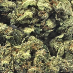 Strain Rec Sour Kosher New Arrivals 7 Strain Rec Sour Kosher New Arrivals