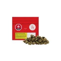 Versus New Arrivals BC God Bud