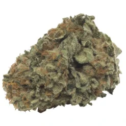 THC Biomed BC Highbrid