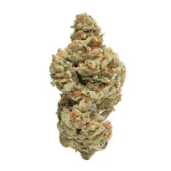 Simply Bare Organic BC Organic Gelato Cake New Arrivals