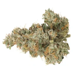 Coast Mountain Cannabis New Arrivals BC Organic Pemberton Pink
