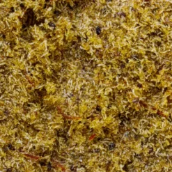 Simply Bare Organic BC Organic Sour CKS Sativa Strains