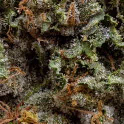 Simply Bare Organic New Arrivals BC Organic Sweet Bubba