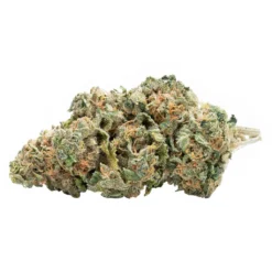 Flowr New Arrivals BC Strawnana