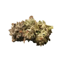 Benchmark Black Tuna