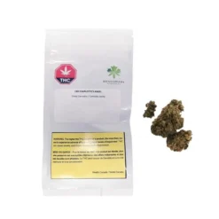 Benchmark CBD Charlotte's Angel