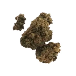 Benchmark CBD Charlotte's Angel