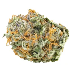 New Arrivals Big Bag O' Buds Black Cherry Punch