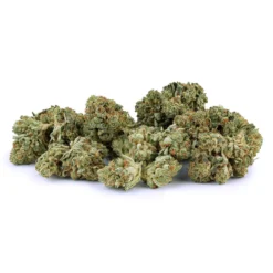 Big Bag O' Buds Original Glue New Arrivals