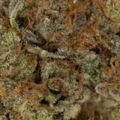 Freedom Cannabis Birthday Cake 7 Freedom Cannabis Birthday Cake