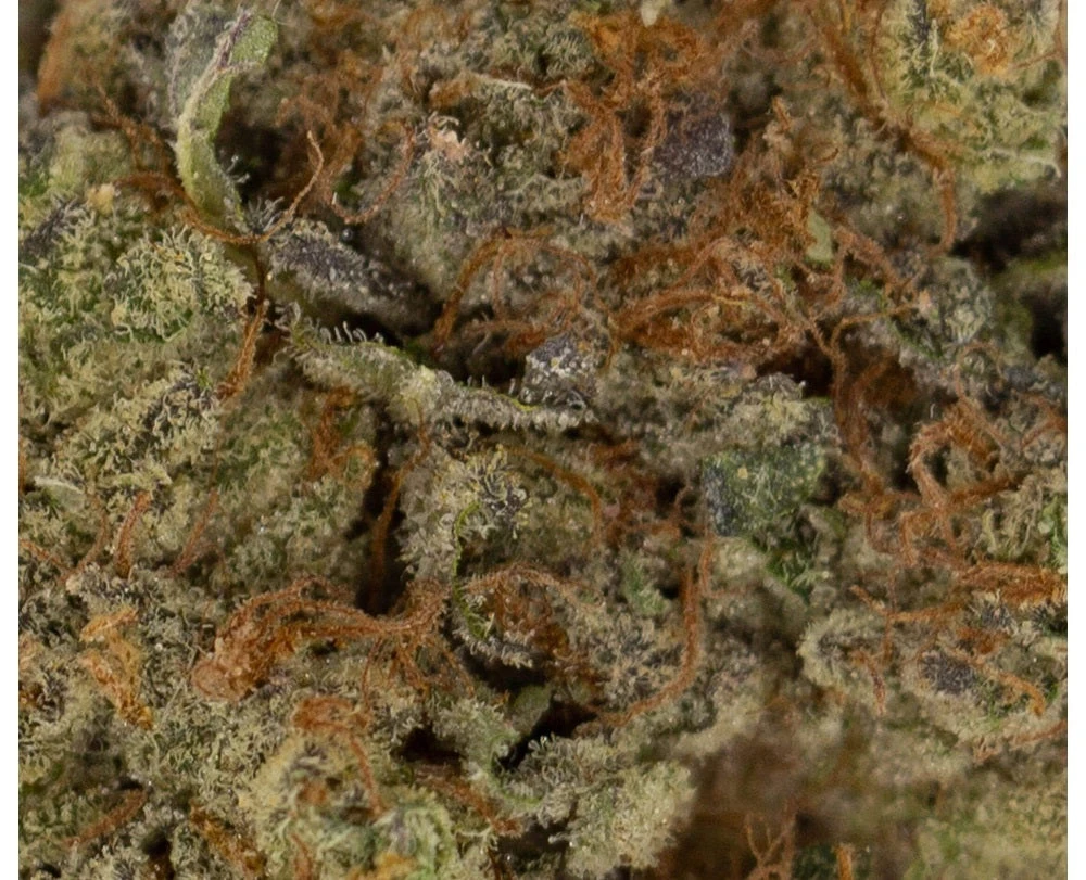 Freedom Cannabis Birthday Cake 5 Freedom Cannabis Birthday Cake