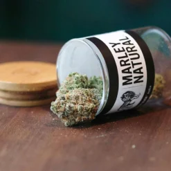 Marley Natural Black - Indica New Arrivals