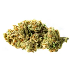 New Arrivals Color Cannabis Black Sugar Rose