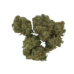 Sitka New Arrivals Black Triangle