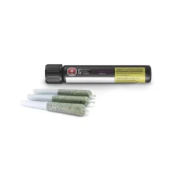 Pistol And Paris Pre-Rolls BCP PR 3 X 0.5 G