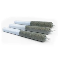 Pistol And Paris Pre-Rolls BCP PR 3 X 0.5 G