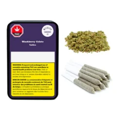 Wildlife Blackberry Gelato PR 10 X 0.3 G Pre-Rolls