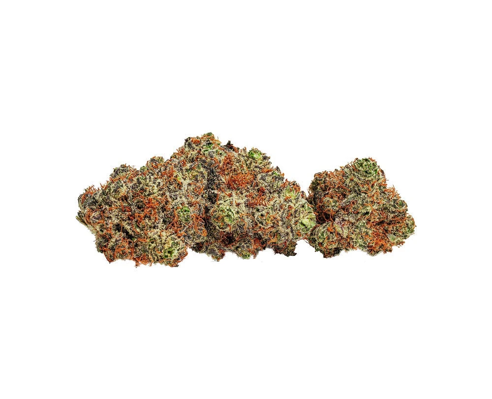 BOLD Blck Cndylnd 4 BOLD Blck Cndylnd