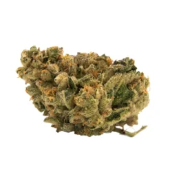 BLLRDR Wedding Cake New Arrivals