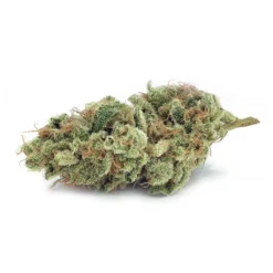 Tantalus Labs Blue Dream