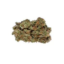 Toucan Abyss Blue Dream