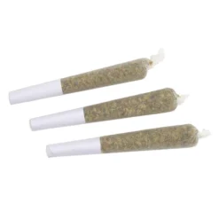 Wagners Pre-Rolls Blue Lime Pie PR 3 X 0.5 G