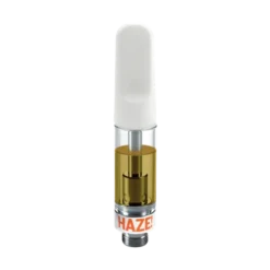 B!NGO Haze! Cartridge New Arrivals
