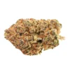 B!NGO Indica! New Arrivals