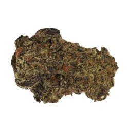 BOAZ Mandarin Cookies New Arrivals