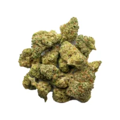 New Arrivals BOLD Bruce Banner