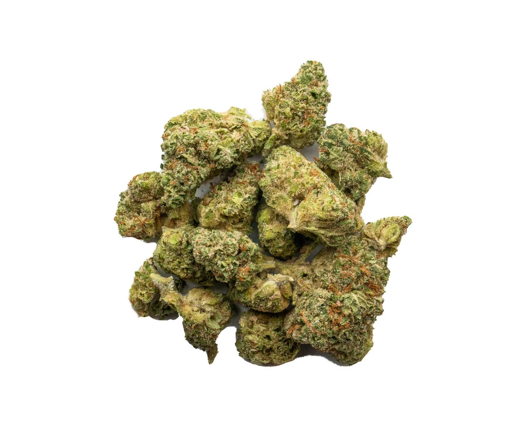 New Arrivals BOLD Bruce Banner 4 New Arrivals BOLD Bruce Banner