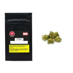 New Arrivals BOLD The Vision