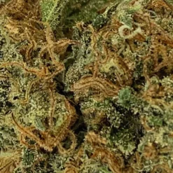 Bonify CBD Skunk Haze