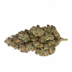 Broken Coast Denman Pre Roll (.5g) Pre-Rolls