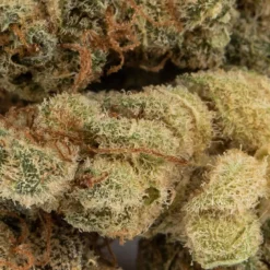 New Arrivals Broken Coast Northern Lights Haze