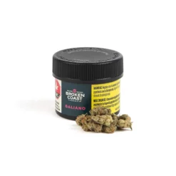 New Arrivals Broken Coast Northern Lights Haze