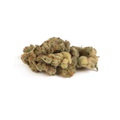 New Arrivals Broken Coast Northern Lights Haze