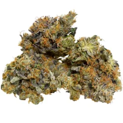 New Arrivals Broken Coast Pink Kush (Savary)